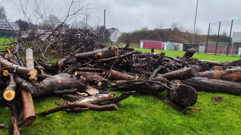 2023 Osterfeuer Holzsammeln 1